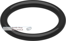 O-Ring (5x) (87485110200) O-Ring (5x) (87485110200)