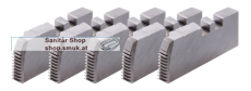 Schneidbacken, HSS, BSPT R, 2.1/2-4