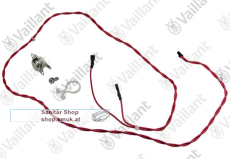 Sensor mit Kabel (0020206090)