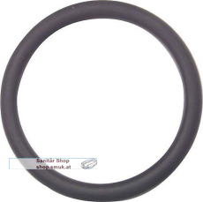 GF748410006 PVC O-Ringe d 20 (GF748410006) GF748410006 PVC O-Ringe d 20 (GF748410006)