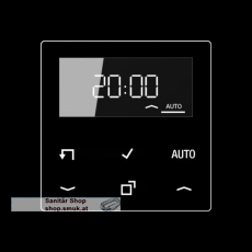 LB-Management Timer-Display, Serie AS/A, (JNGA1750DSW)