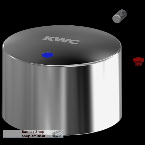 ASSV1004 Druckkappe (2030048353)