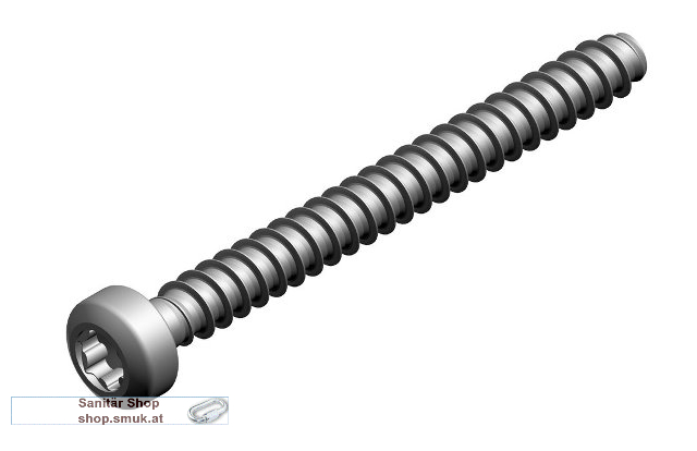 Schraube K35x35 (2x) (7736700683)