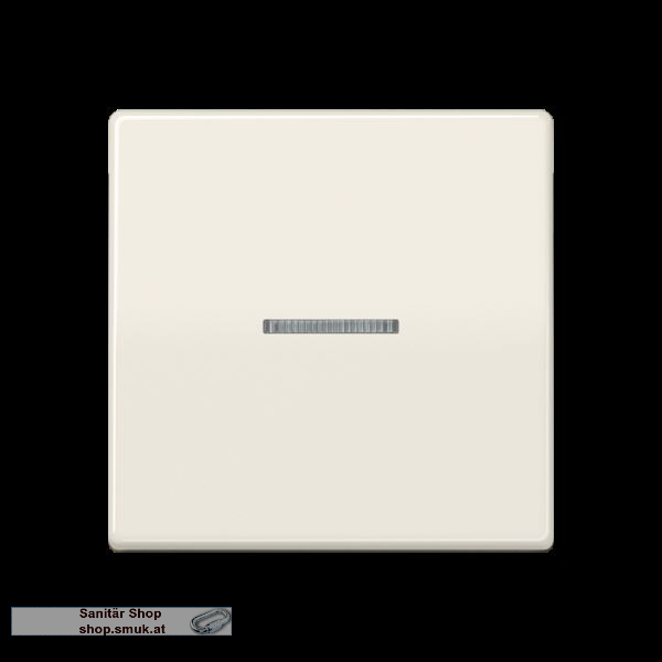Wippe 1fach, mit Lichtleiter, Duroplast, (JNGAS591KO5)