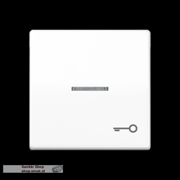 Wippe 1fach, Symbol T�r, mit Lichtleiter (JNGAS591KO5TWW)