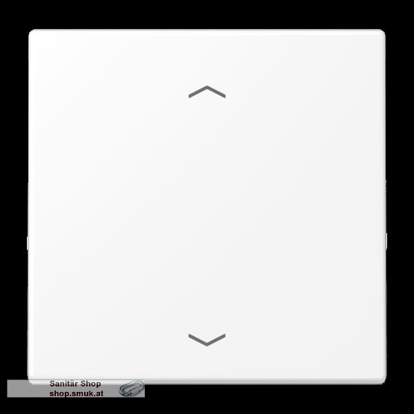 Wippe, F10, mit Pfeilsymbolen, Duroplast (JNGLS101PWWM)