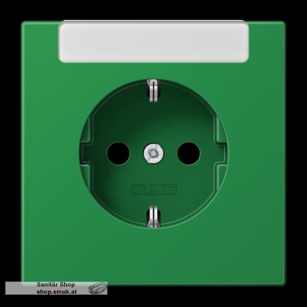 SCHUKO-Steckdose, 16 A 250 V -, mit int (JNGLS1520INAGN)