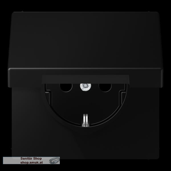 SCHUKO-Steckdose, 16 A 250 V -, Schraub (JNGLS1521KLSWM)