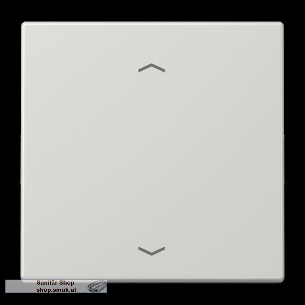 Wippe 1fach, mit Pfeilsymbolen, Duroplas (JNGLS990PLG)