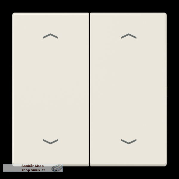 Wippe 2fach, mit 4 Pfeilsymbolen, Duropl (JNGLS995MP)