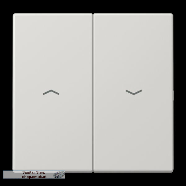 Wippe 2fach, mit Pfeilsymbolen, Duroplas (JNGLS995PLG)