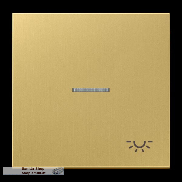 Wippe 1fach, Symbol Licht, mit Lichtleit (JNGME2990KO5LC)