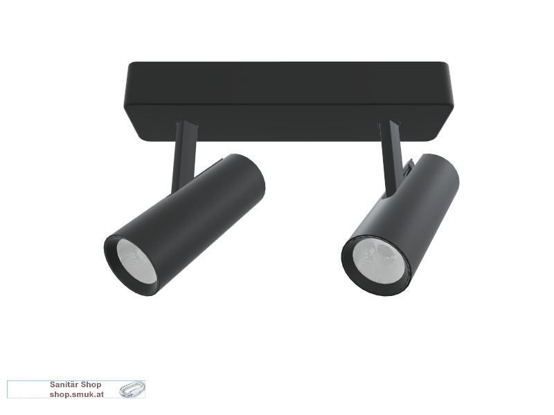 ROGGA S 2 SD WAND-DECKEN AUFBAULEUCHTE s (MOL3654344)