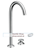 HG 2-L.Waschtischmischer Select 260 (48060000)