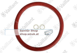 Dichtungssatz, Brennerwartung (0020020845) Dichtungssatz, Brennerwartung (0020020845)