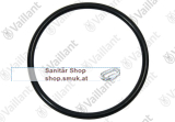 O-Ring (0020123968) O-Ring (0020123968)