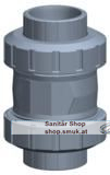 GF R�ckschlagventil 562 ABS/EPDM PN10 (GF169562007)