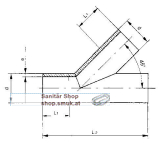 GF T-STUECK 45 GESCHW.PE 00 SDR 17.6 315 (GF700649295)