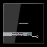 Wippe 1fach, Symbol T�r, mit Lichtleiter (JNGLS990KO5TSW)