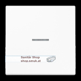 Wippe 1fach, mit Lichtleiter, Duroplast, (JNGLS990KO5WW)