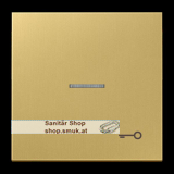Wippe 1fach, Symbol T�r, mit Lichtleiter (JNGME2990KO5TC)