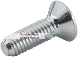 Senkschraube - 255129 R (RE255129R)