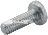 Schraube M4 x 12 - 255340 R (RE255340R)