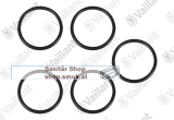 O-Ring, (5 St.) (VA0010028551)