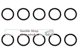 O-Ring, (x10) (VA0010048100)